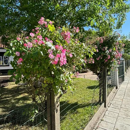 Daire Het Relax Hoeveke *