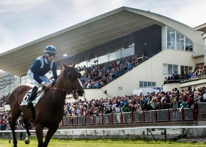 Appartement Het Relax Hoeveke