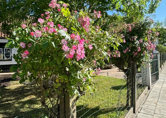 Apartamento Het Relax Hoeveke *